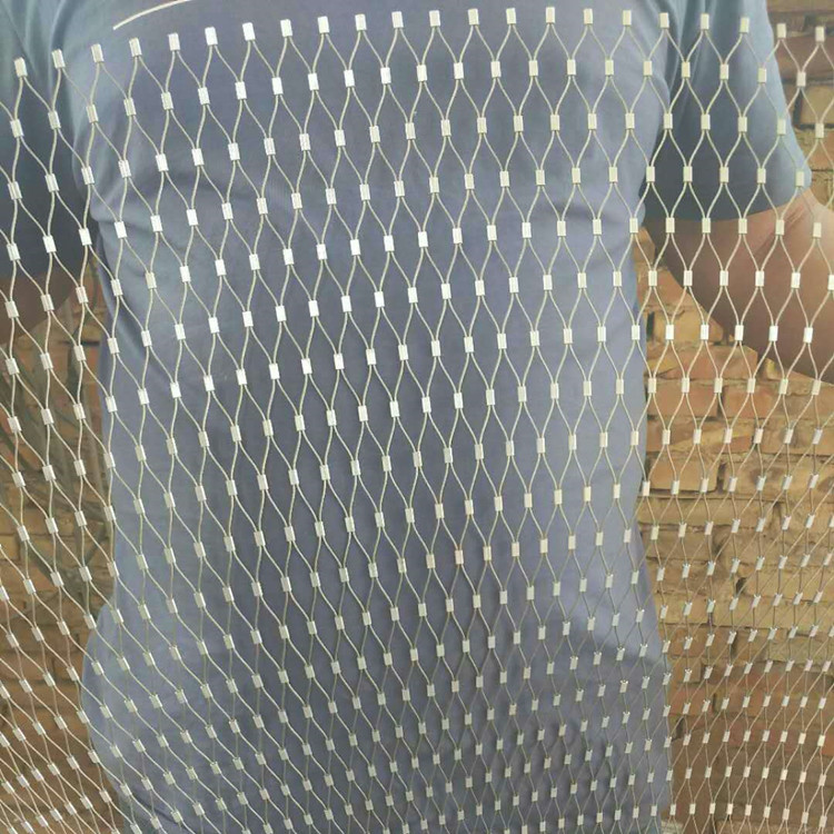 19357300517941084.jpg
